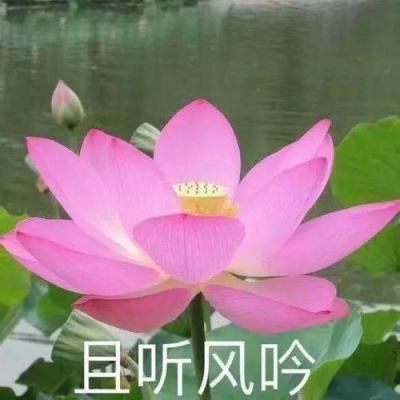 战国挂机无限元宝下载
