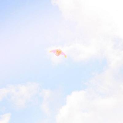 炼天劫手游官方版下载