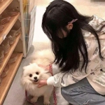 封仙纪元手游下载
